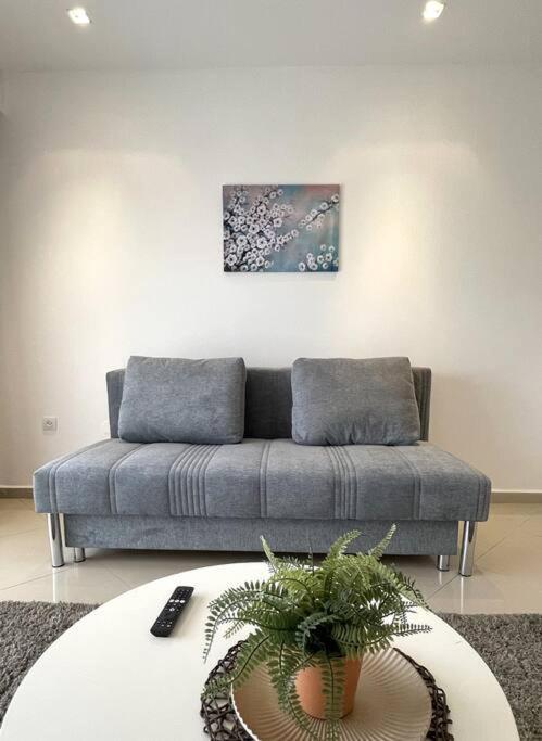 Calm & Cozy 1br,palmeraie * Eilat